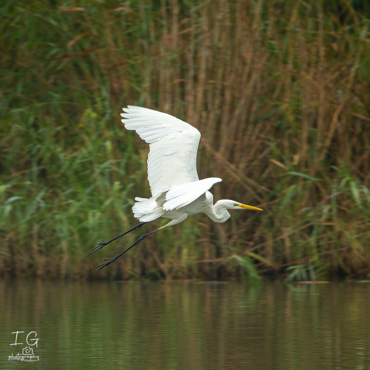 20211009  1DX0884 instagram